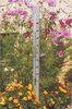 Central Park thermometer