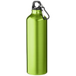 Pacific bottle with carabiner, Green